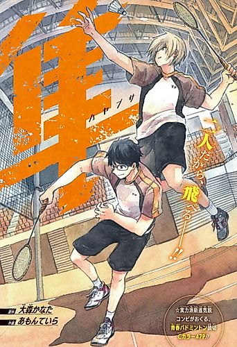 Cover image for Hayabusa