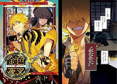 Cover image for Kiniro no Yasha