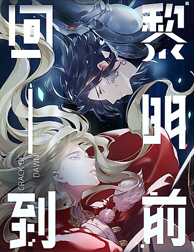 Cover image for The Other Side of the Mirror