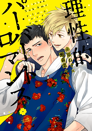 Cover image for Rational Pervert Romance