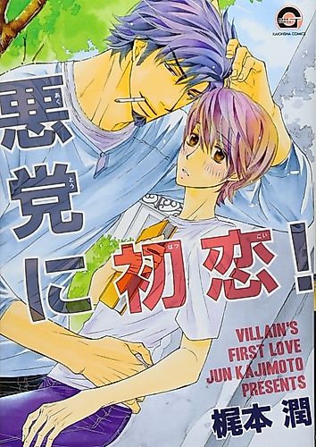 Cover image for Villain's First Love