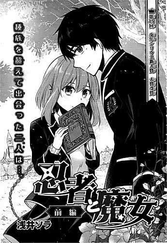 Cover image for Ninja and Witch