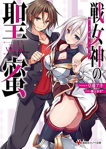 Cover image for Mead of Valkyria