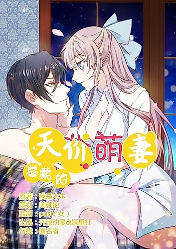 Cover image for President's Priceless Wife