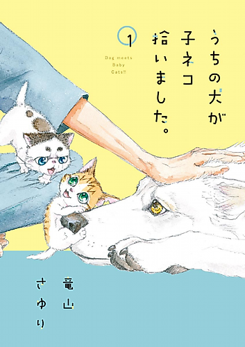 Cover image for Dog Meets Baby Cats