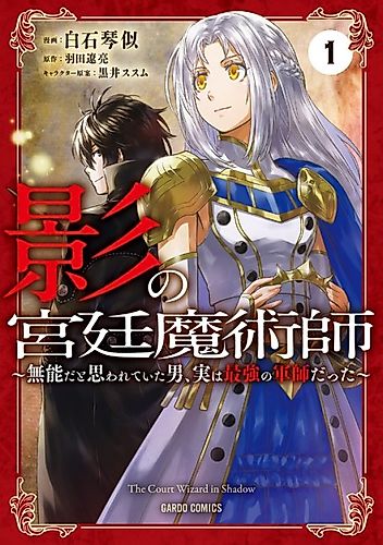 Cover image for The Court Wizard in Shadow