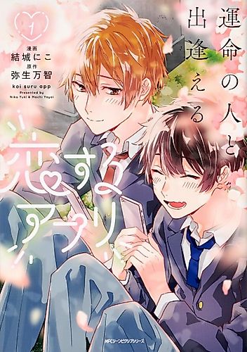 Cover image for An App to Fall in Love
