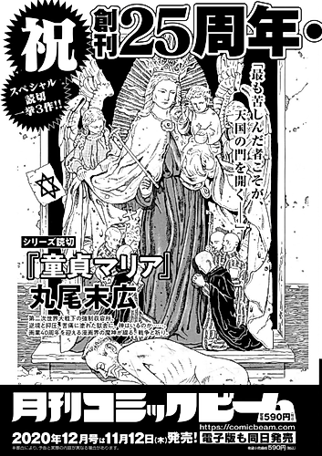 Cover image for Virgin Maria
