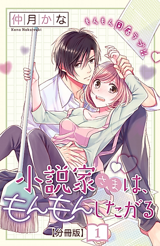 Cover image for The Writer and His Housekeeper