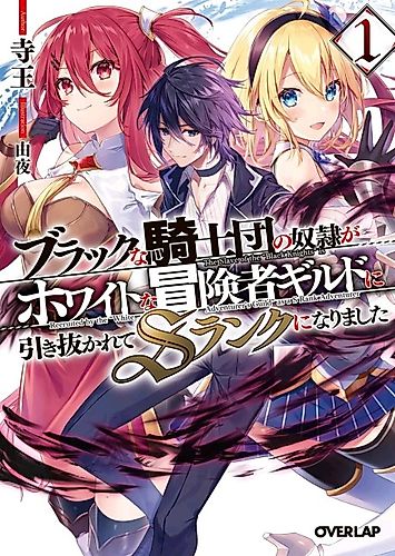 Cover image for The Slave of the "Black Knights" Is Recruited by the "White Adventurer's Guild" as a S Rank Adventurer