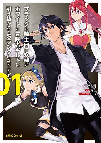 Cover image for The Slave of the "Black Knights" Is Recruited by the "White Adventurer's Guild" as a S Rank Adventurer