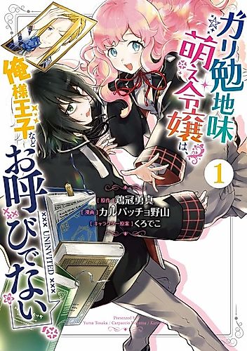 Cover image for The Lady Likes a Nerd over Princes