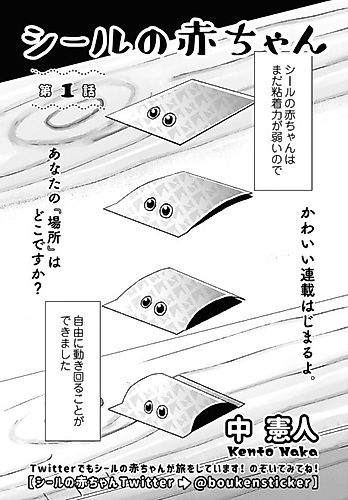 Cover image for Baby Seal