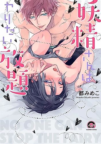 Cover image for No One Can Stop the Fairy
