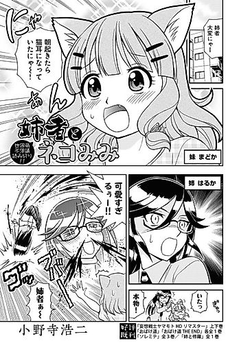 Cover image for Aneja to Nekomimi