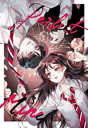 Cover image for Perfect Mine