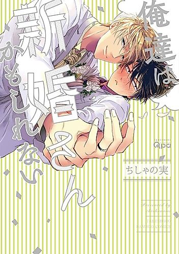Cover image for Maybe We're Newlyweds