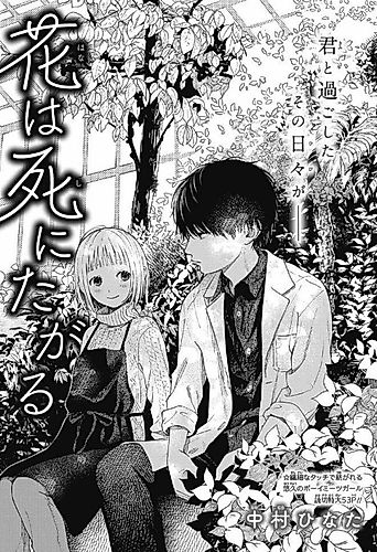 Cover image for Wilted Flower