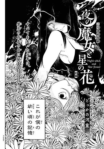 Cover image for Night Witch and Star Flower
