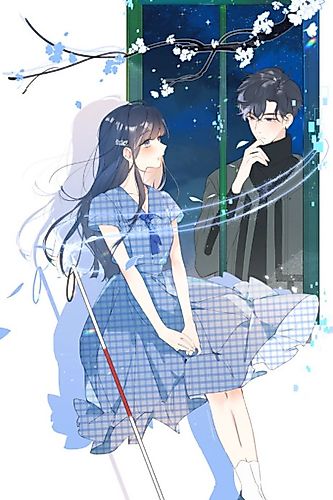 Cover image for Find Me in the Dark
