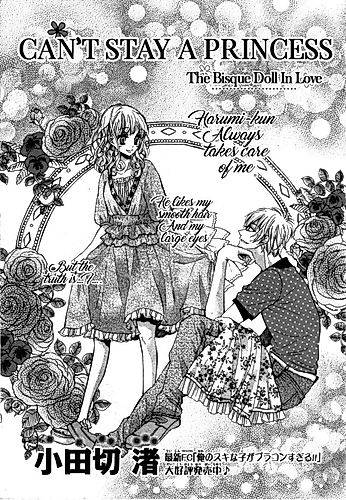 Cover image for Can't Stay a Princess