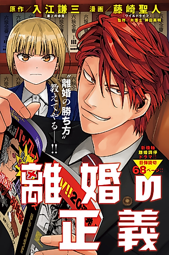 Cover image for Rikon no Seigi