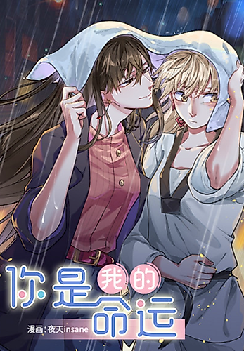 Cover image for You Are My Destiny
