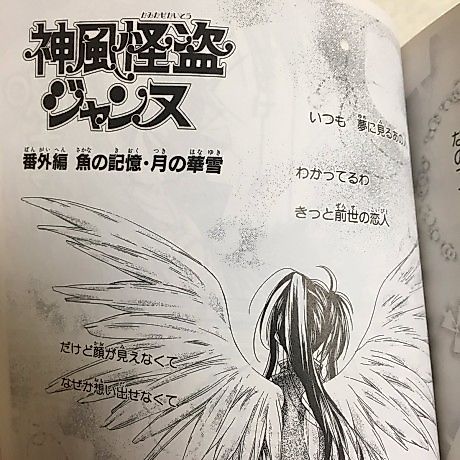 Cover image for The Memory of the Fish, the Snow Crystals of the Moon