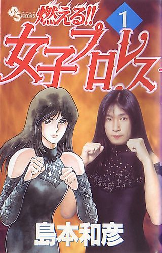 Cover image for Burning!! Women's Pro-Wrestling