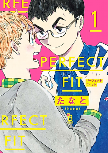 Cover image for PERFECT FIT