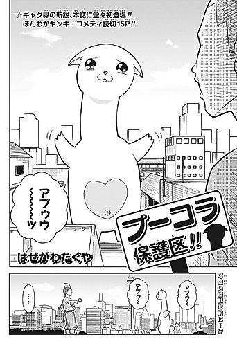 Cover image for Pukora Hogoku