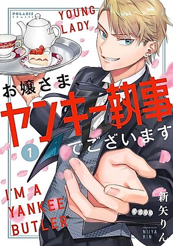 Cover image for Young Lady, I'm a Yankee Butler