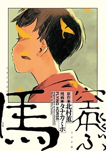 Cover image for Flying Horse