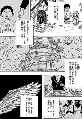 Cover image for IBIS