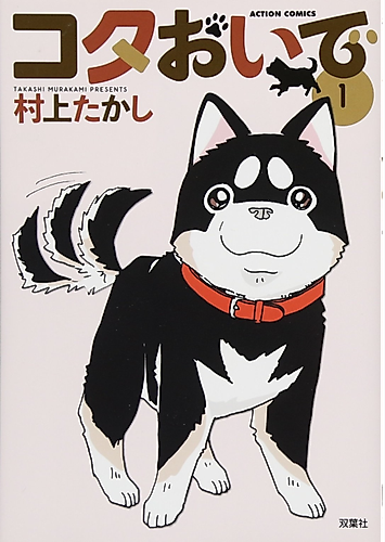 Cover image for Kota Oide