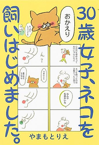Cover image for Keeping a Cat at the Age of Thirty