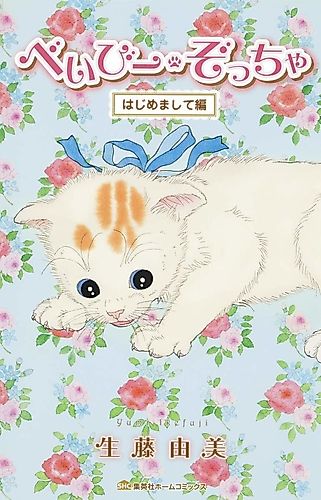 Cover image for Baby Zoccha