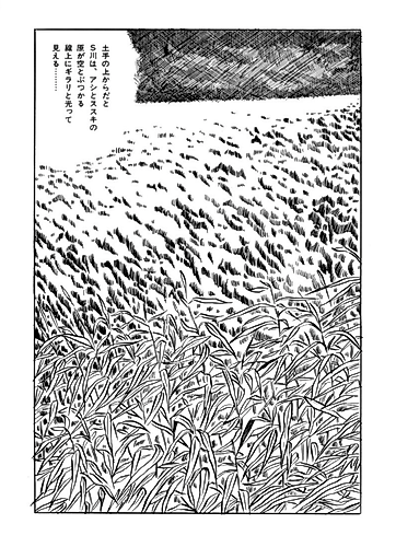 Cover image for Vagabond Plain