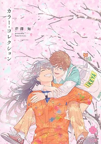 Cover image for Color Collection