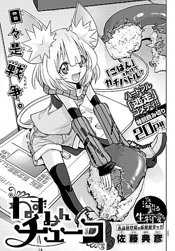 Cover image for Nezumin Chuko