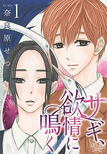 Cover image for The Fraud Crys by Passion