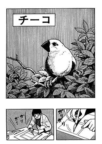 Cover image for Chirpy