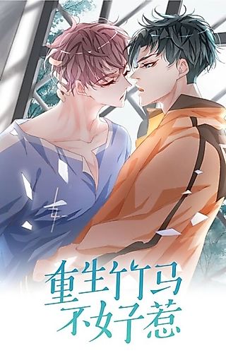 Cover image for I Will Never Be Into You Again