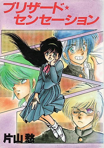 Cover image for Blizzard Sensation