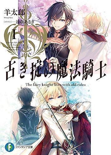 Cover image for Magic Knight of the Old Ways