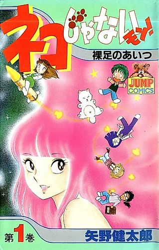 Cover image for I'm Not a Cat!