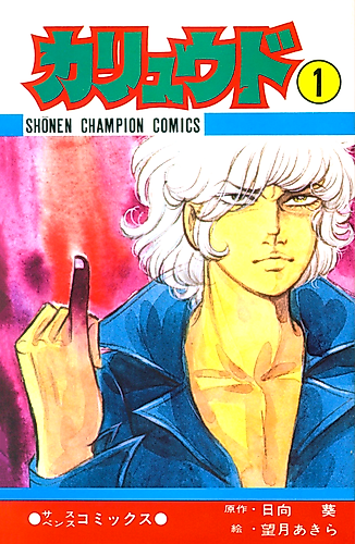 Cover image for The Hunter