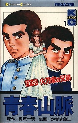 Cover image for Mountains of Youth