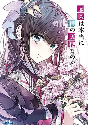Cover image for Are You Really My Angel