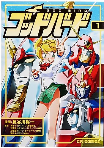 Cover image for God Bird